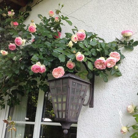 Le Petit Val Rose Villa Villennes-sur-Seine Luaran gambar