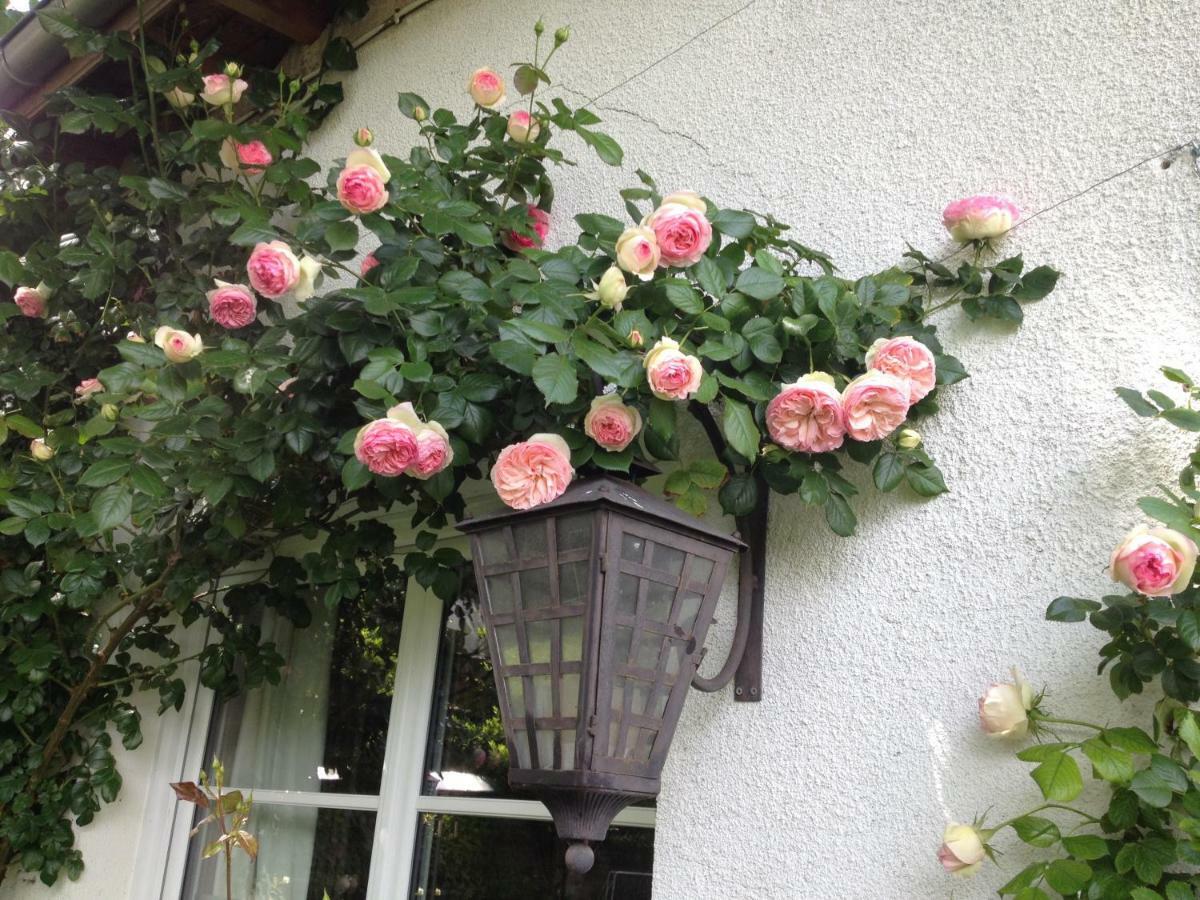 Le Petit Val Rose Villa Villennes-sur-Seine Luaran gambar